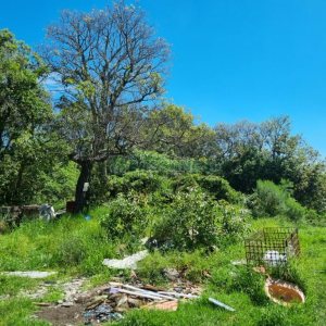 Terreno, no bairro São Caetano em Caxias do Sul para Comprar