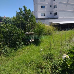 Terreno com 1350m², no bairro Pio X em Caxias do Sul para Comprar