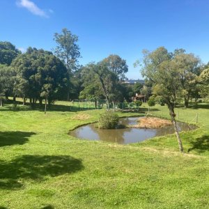 Pavilhão com 2600m², no bairro Fazenda Souza em Caxias do Sul para Comprar