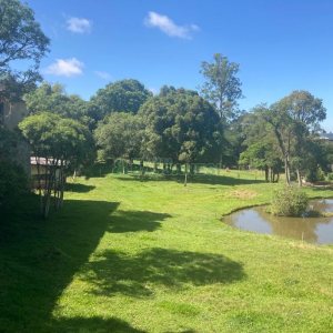 Pavilhão com 2600m², no bairro Fazenda Souza em Caxias do Sul para Comprar