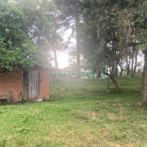 Pavilhão com 2600m², no bairro Fazenda Souza em Caxias do Sul para Comprar