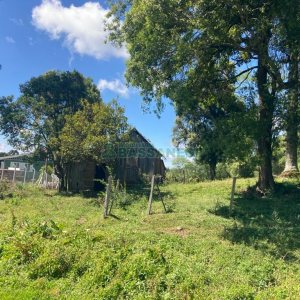 Pavilhão com 2600m², no bairro Fazenda Souza em Caxias do Sul para Comprar