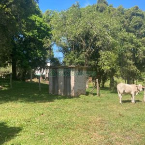 Pavilhão com 2600m², no bairro Fazenda Souza em Caxias do Sul para Comprar