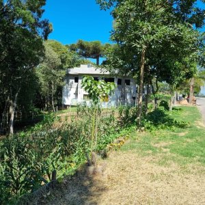 Terreno, no bairro Pedancino em Caxias do Sul para Comprar