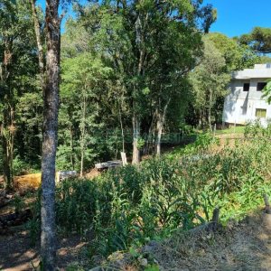 Terreno, no bairro Pedancino em Caxias do Sul para Comprar