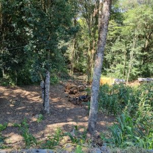 Terreno, no bairro Pedancino em Caxias do Sul para Comprar