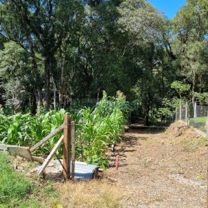 Terreno, no bairro Pedancino em Caxias do Sul para Comprar