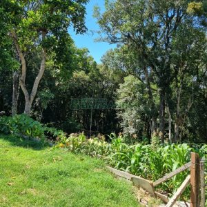 Terreno, no bairro Pedancino em Caxias do Sul para Comprar
