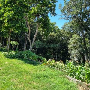 Terreno, no bairro Pedancino em Caxias do Sul para Comprar