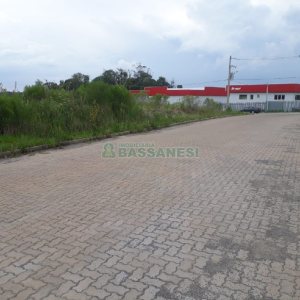 Terreno, no bairro São Ciro em Caxias do Sul para Comprar