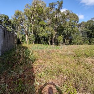 Terreno, no bairro Vila Verde em Caxias do Sul para Comprar