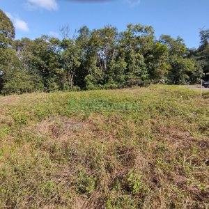 Terreno, no bairro Vila Verde em Caxias do Sul para Comprar