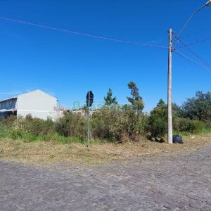 Terreno com 1500m², no bairro Nossa Senhora das Graças em Caxias do Sul para Alugar