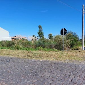 Terreno com 1500m², no bairro Nossa Senhora das Graças em Caxias do Sul para Alugar
