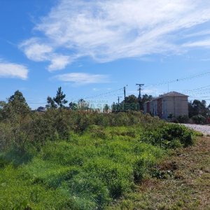Terreno com 1500m², no bairro Nossa Senhora das Graças em Caxias do Sul para Alugar
