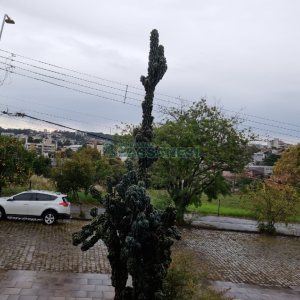 Casa com 320m², 3 dormitórios, 2 vagas, no bairro Colina Sorriso em Caxias do Sul para Comprar