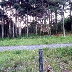 Terreno com 361m², no bairro Forqueta em Caxias do Sul para Comprar