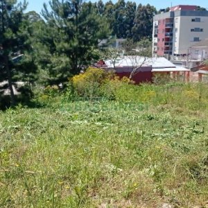 Terreno com 361m², no bairro Forqueta em Caxias do Sul para Comprar