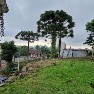 Terreno, no bairro Sagrada Família em Caxias do Sul para Comprar