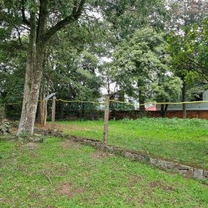 Terreno, no bairro Sagrada Família em Caxias do Sul para Comprar