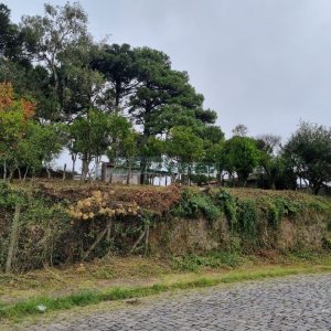 Terreno, no bairro Sagrada Família em Caxias do Sul para Comprar