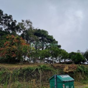 Terreno, no bairro Sagrada Família em Caxias do Sul para Comprar