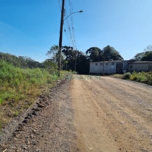 Terreno, no bairro Ana Rech em Caxias do Sul para Comprar