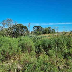Terreno, no bairro Ana Rech em Caxias do Sul para Comprar