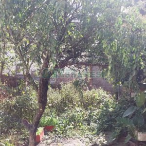 Terreno, no bairro Centro em Caxias do Sul para Comprar