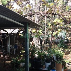 Terreno, no bairro Centro em Caxias do Sul para Comprar
