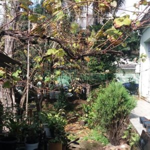 Terreno, no bairro Centro em Caxias do Sul para Comprar