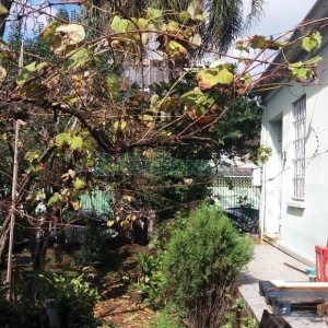 Terreno, no bairro Centro em Caxias do Sul para Comprar