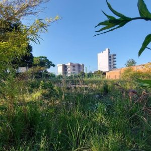 Terreno com 200m², no bairro Cinqüentenário em Caxias do Sul para Alugar