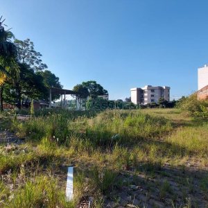 Terreno com 200m², no bairro Cinqüentenário em Caxias do Sul para Alugar