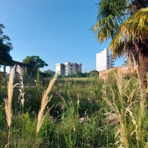 Terreno com 200m², no bairro Cinqüentenário em Caxias do Sul para Alugar