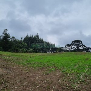Chácara, no bairro Forqueta em Caxias do Sul para Comprar