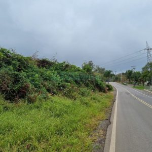 Chácara, no bairro Forqueta em Caxias do Sul para Comprar