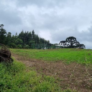 Chácara, no bairro Forqueta em Caxias do Sul para Comprar