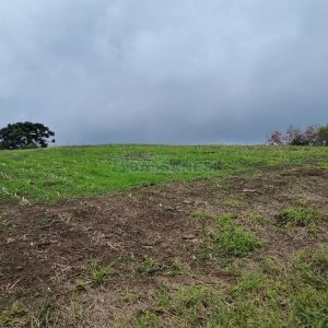 Chácara, no bairro Forqueta em Caxias do Sul para Comprar