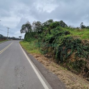 Chácara, no bairro Forqueta em Caxias do Sul para Comprar