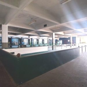 Predio com 3888m², no bairro Centro em Caxias do Sul para Alugar ou Comprar