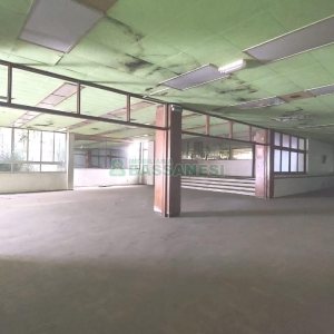 Predio com 3888m², no bairro Centro em Caxias do Sul para Alugar ou Comprar