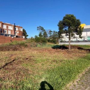 Terreno com 2195m², no bairro Nossa Senhora da Saúde em Caxias do Sul para Alugar ou Comprar