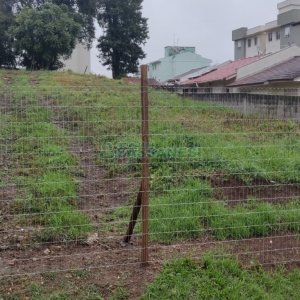 Terreno, no bairro Parque Oasis em Caxias do Sul para Comprar