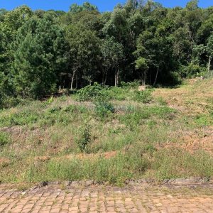 Terreno, no bairro São Luiz em Caxias do Sul para Comprar