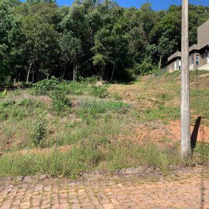 Terreno, no bairro São Luiz em Caxias do Sul para Comprar