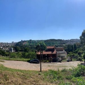 Terreno, no bairro São Luiz em Caxias do Sul para Comprar