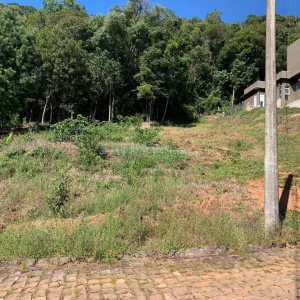 Terreno, no bairro São Luiz em Caxias do Sul para Comprar