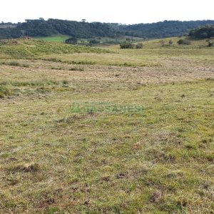 Chácara com 20000m², no bairro Criuva em Caxias do Sul para Comprar