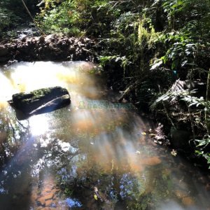 Chácara com 20000m², no bairro Criuva em Caxias do Sul para Comprar